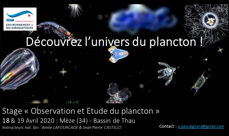 l&#039;univers du plancton